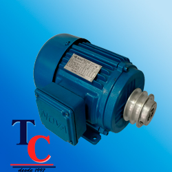 Trifasico 3Hp